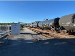CTCX 302736